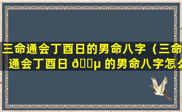 三命通会丁酉日的男命八字（三命通会丁酉日 🐵 的男命八字怎么样）